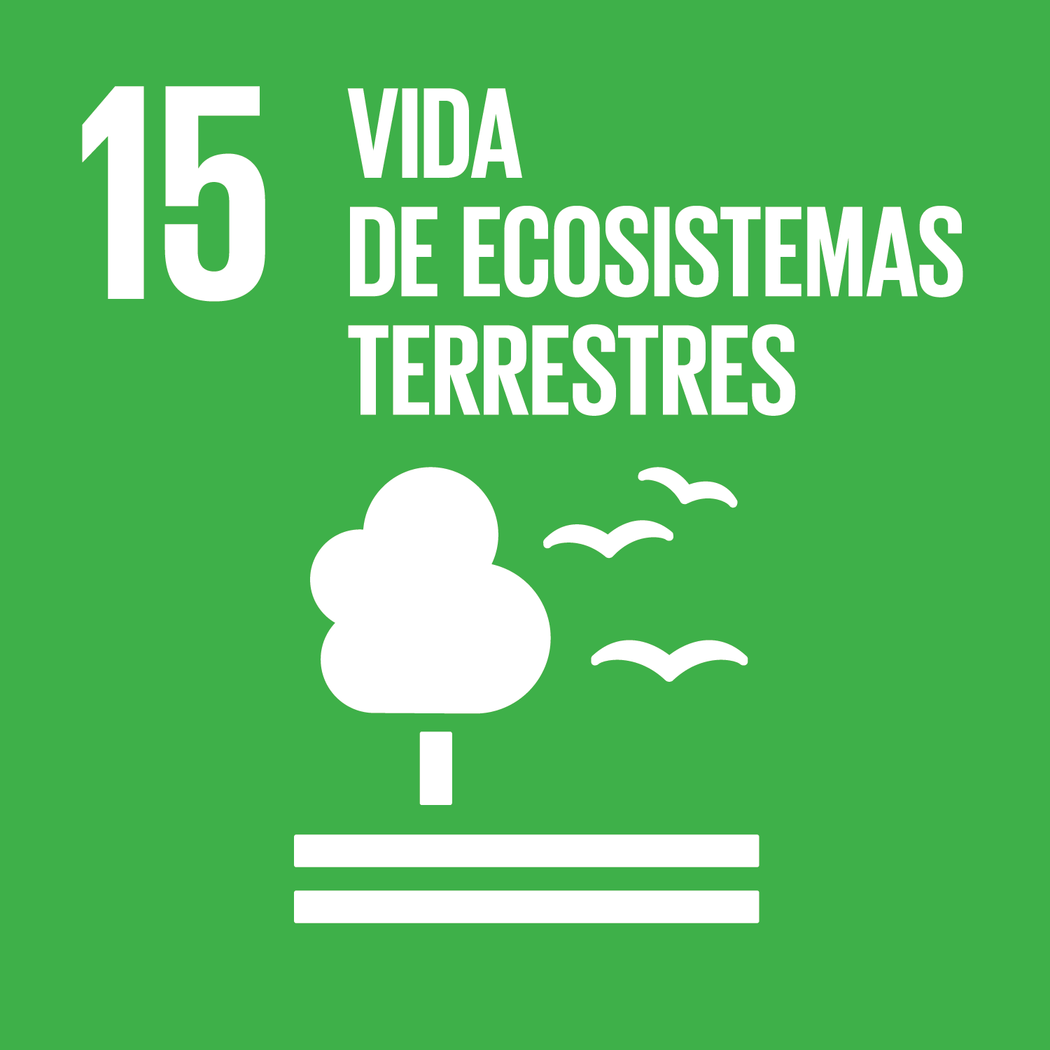 ODS 15: Vida de Ecosistemas Terrestres